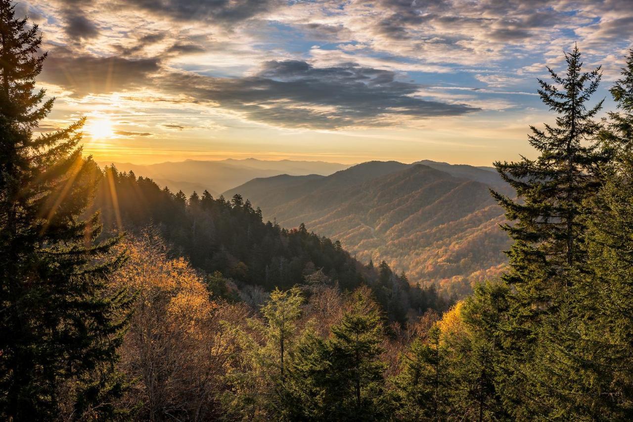 Bear Cub Retreat Daire Gatlinburg Dış mekan fotoğraf